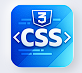 CSS Logo